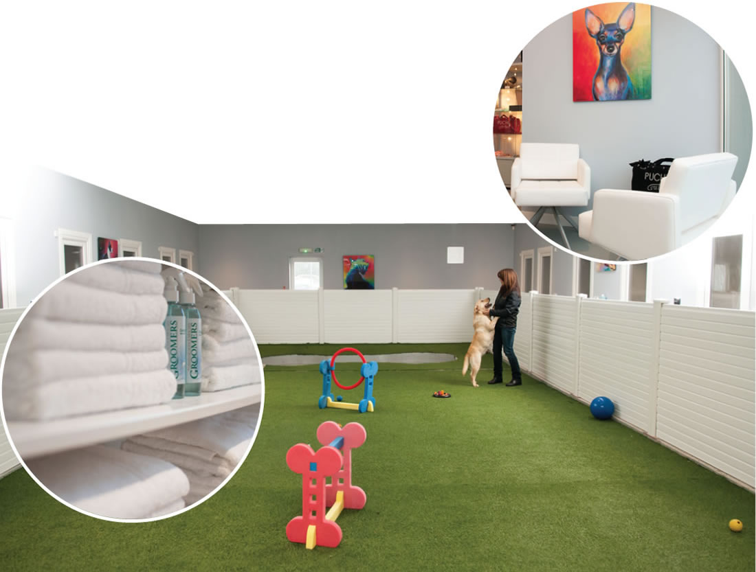 Bellslea Hills Pet Hotel & Spa