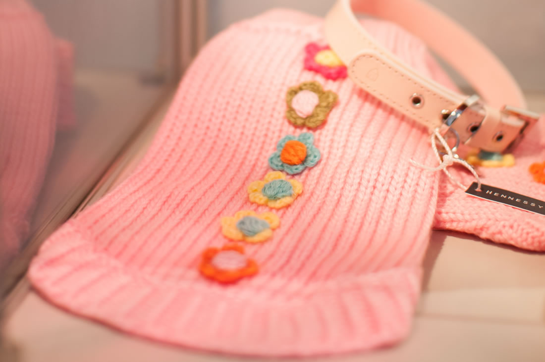 Pet Hotel Luxury Boarding Dogs Kennel Ayr Ayrshire Scotland Glasgow Cattery Bellslea Hills Pet