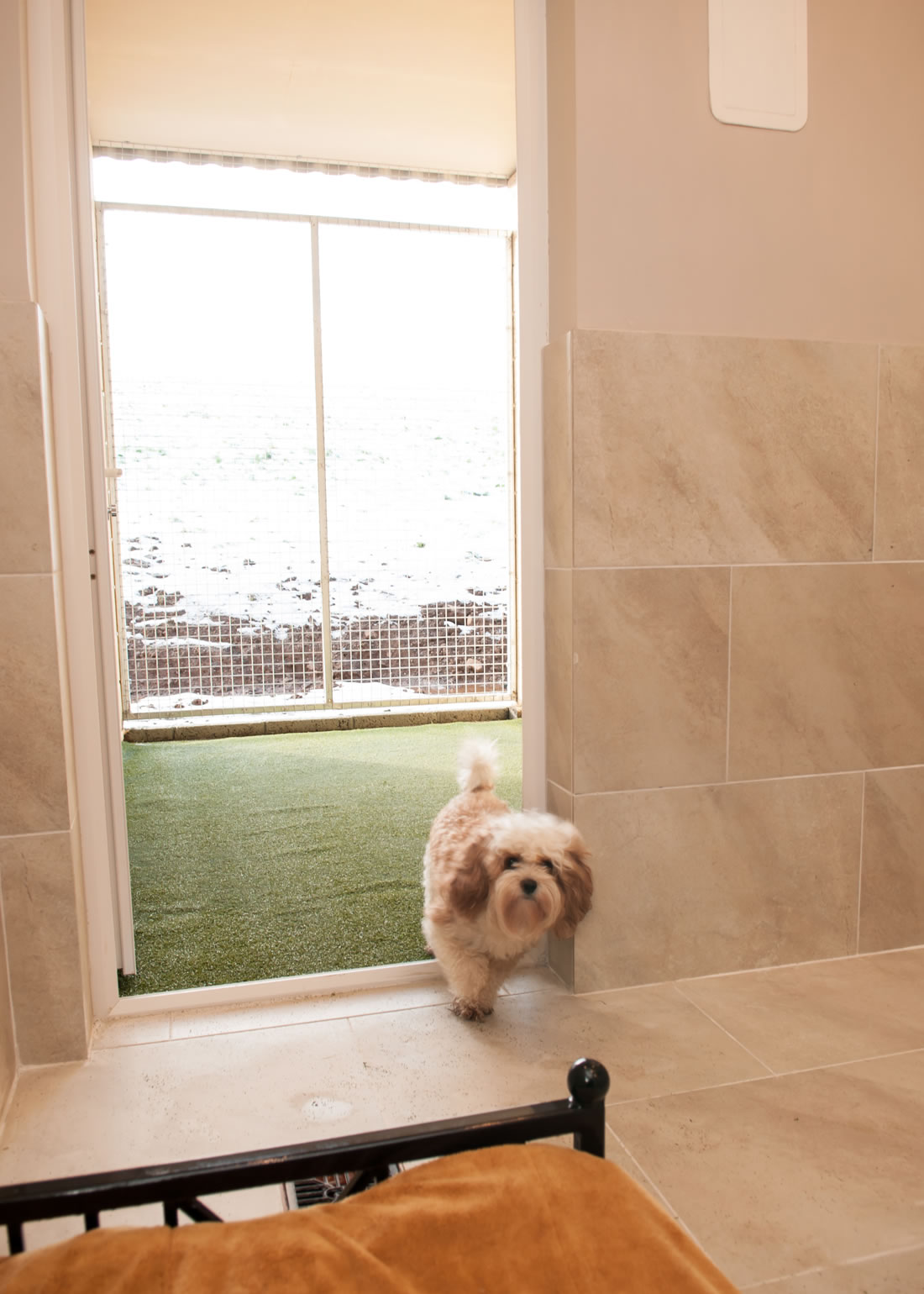 Pet Hotel Luxury Boarding Dogs Kennel Ayr Ayrshire Scotland Glasgow