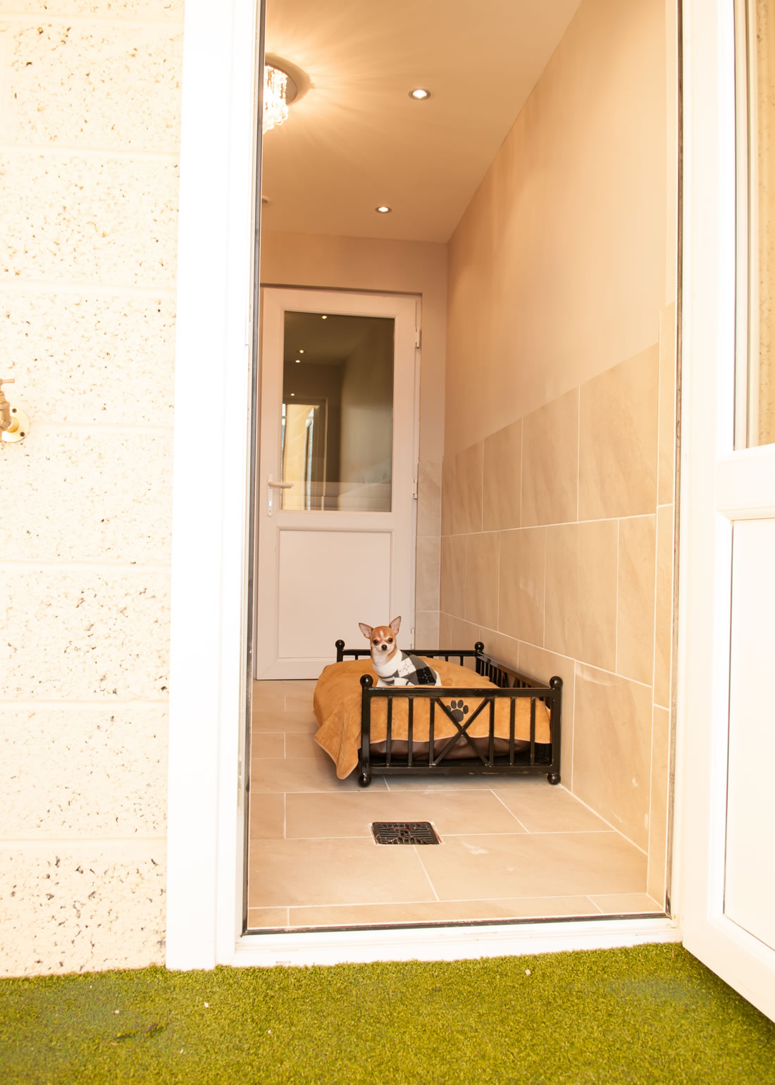 Pet Hotel Luxury Boarding Dogs Kennel Ayr Ayrshire Scotland Glasgow