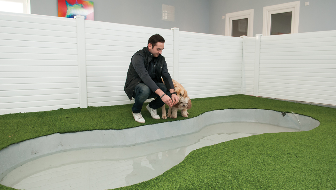 Pet Hotel Luxury Boarding Dogs Kennel Ayr Ayrshire Scotland Glasgow