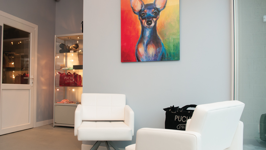 Pet Hotel Luxury Boarding Dogs Kennel Ayr Ayrshire Scotland Glasgow